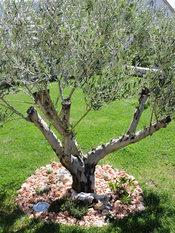 Apartman Residenca *